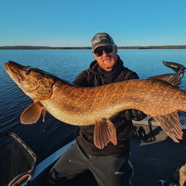 Трофейная рыбалка в Карелии с Александром Лаврушиным